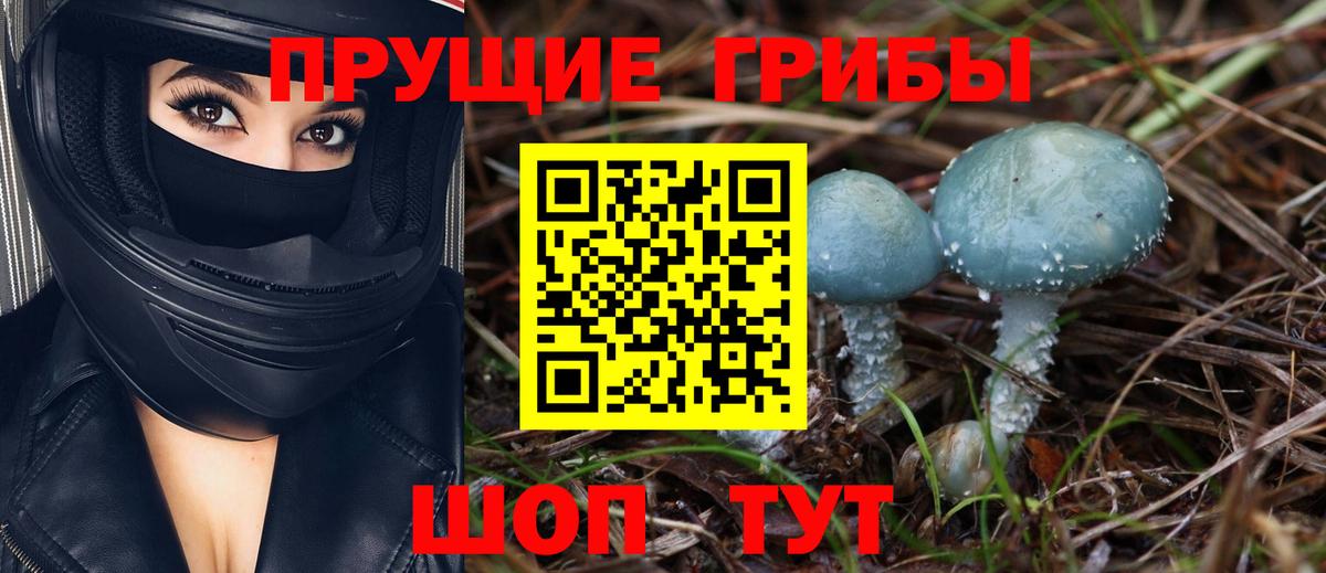 Псилоцибиновые грибы Psilocybine cubensis  Галлюциногенные грибы мицелий  Апрелевка 