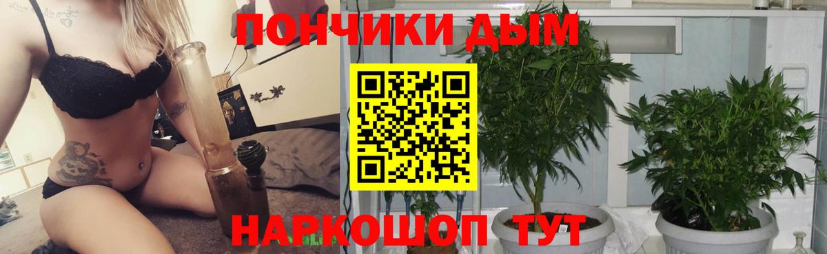 Каннабис марихуана Апрелевка